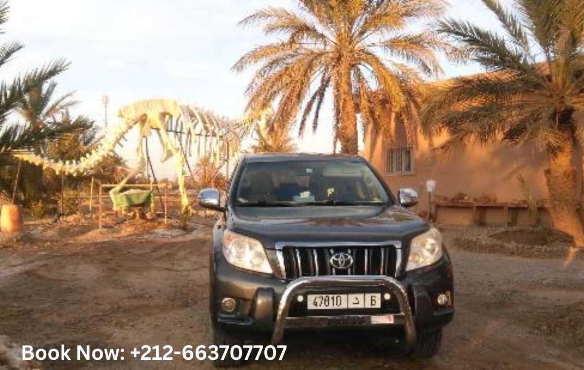 Driving from Casablanca to the Sahara Desert